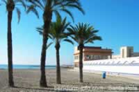 Santa Pola Levante Beach & Palm Trees