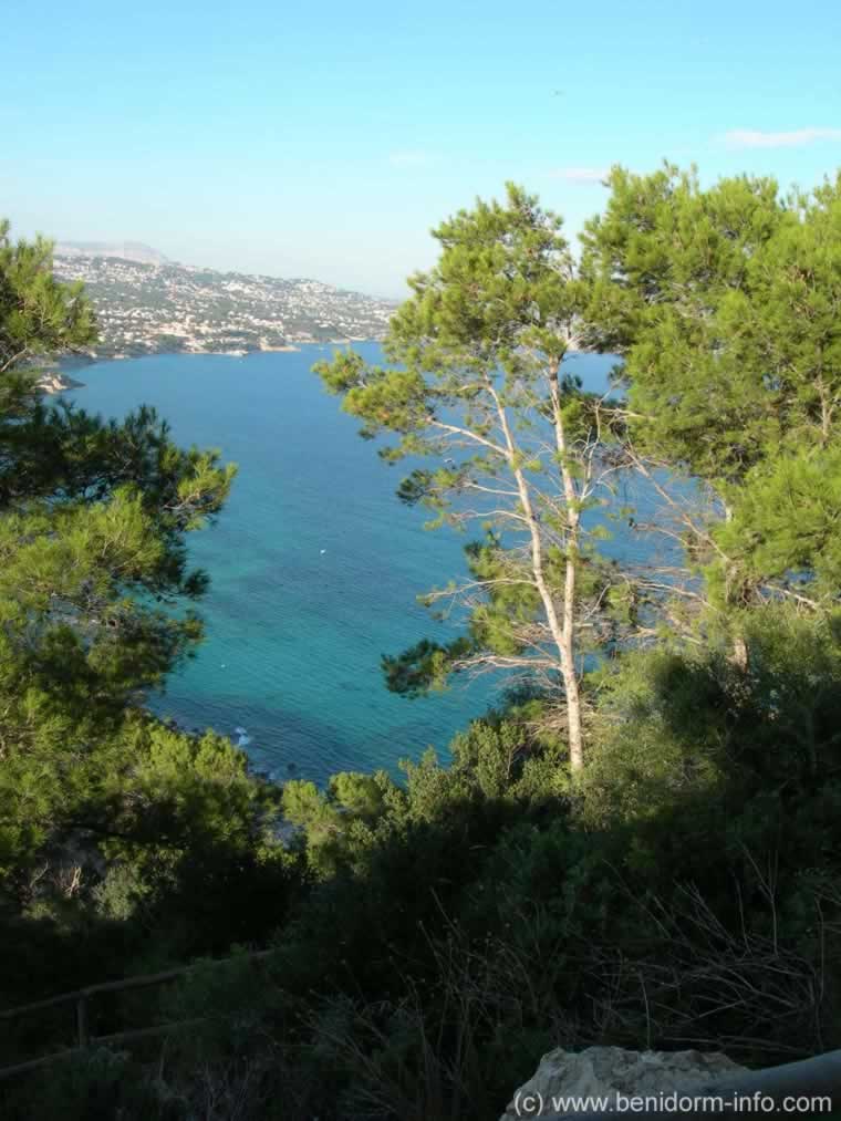 View through the trees