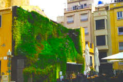 Calahorra-After-Garden-Wall