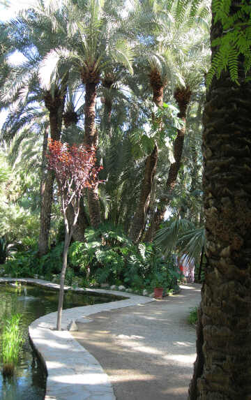 Huerto del Cura Gardens with ponds, trees, flowers , wildlife