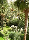 Guadalest gardens