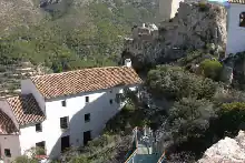 XXXF
