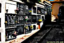 XXXF
