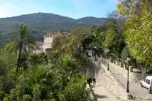 XXXF