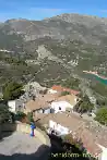 XXXF